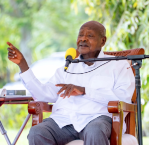 IMG_20260128_112449_896