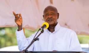 0a6bee3c-a76b-4f52-8634-fef83e40f7ba-1000x600