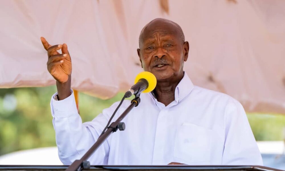 0a6bee3c-a76b-4f52-8634-fef83e40f7ba-1000x600